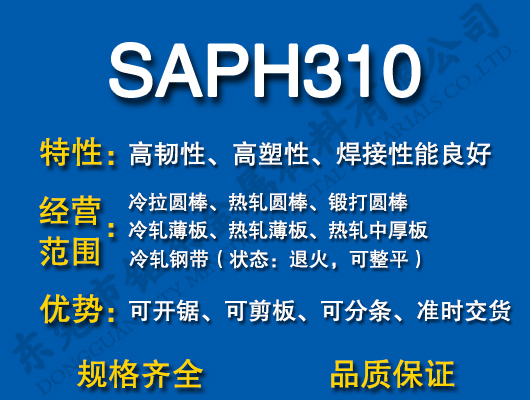 SAPH310̼�Y(ji��)�