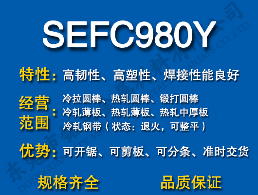 SEFC980Y̼�Y(ji��)�