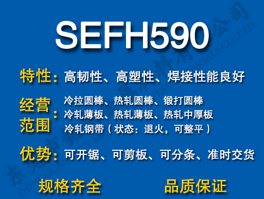 SEFH590̼�Y�