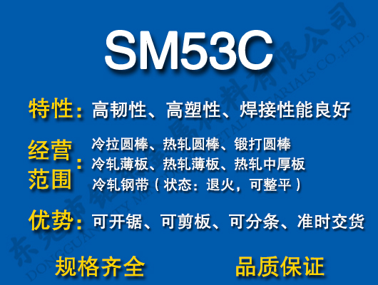SM53C̼�Y(ji��)�