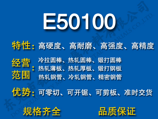 E50100�S���